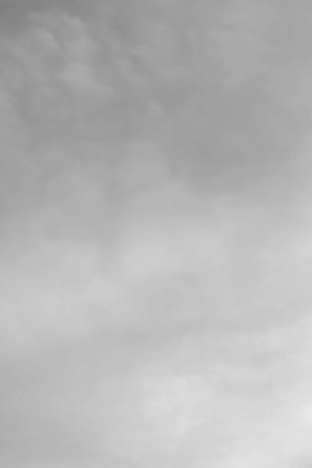 Untitled IV_Therese Debono_2026.jpg