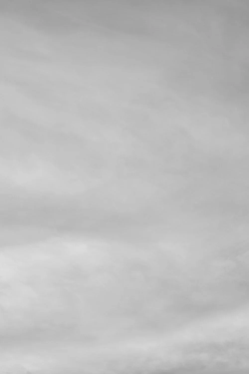 Untitled V_Therese Debono_2026.jpg