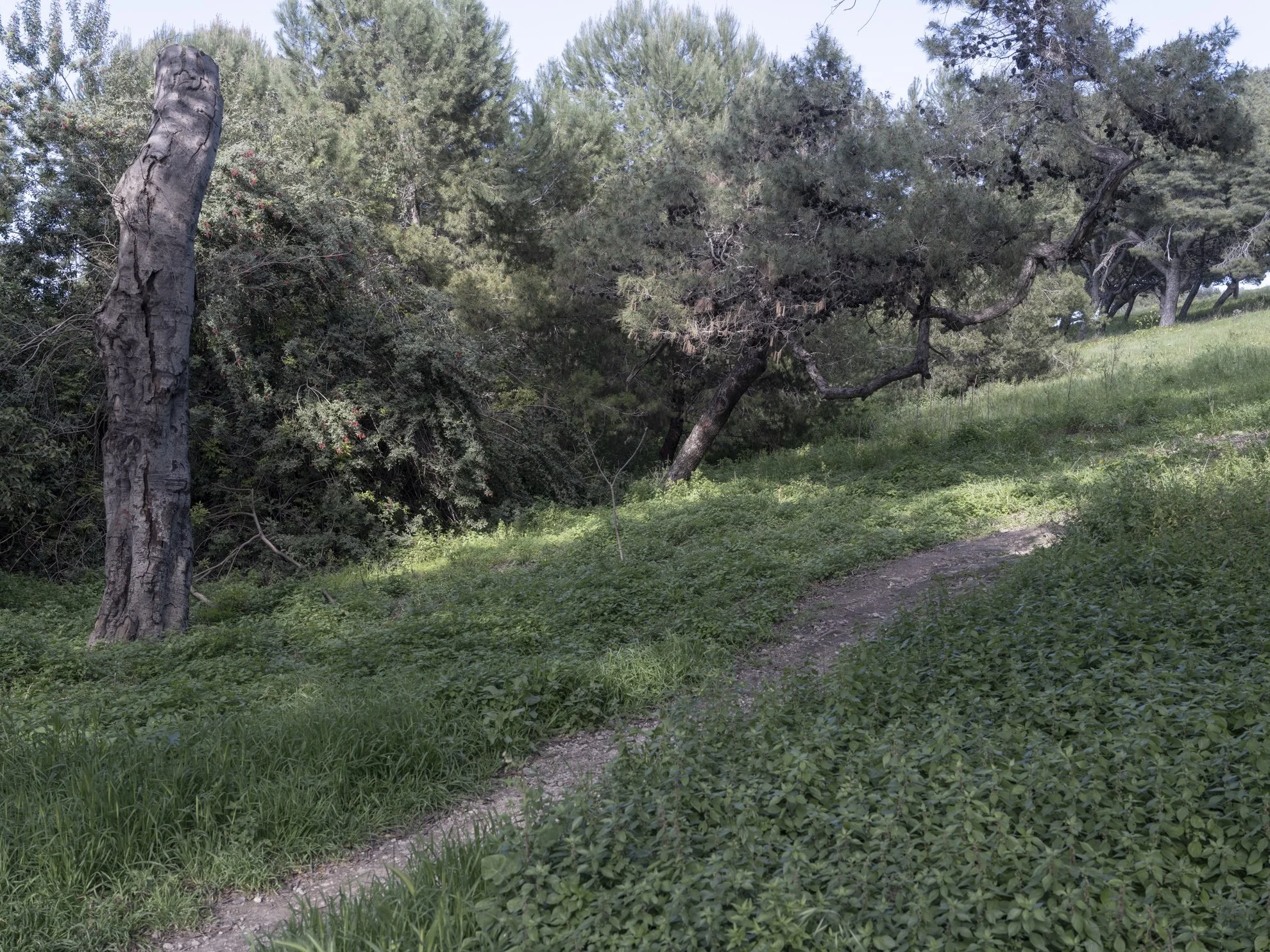 website uploads-4714.jpg