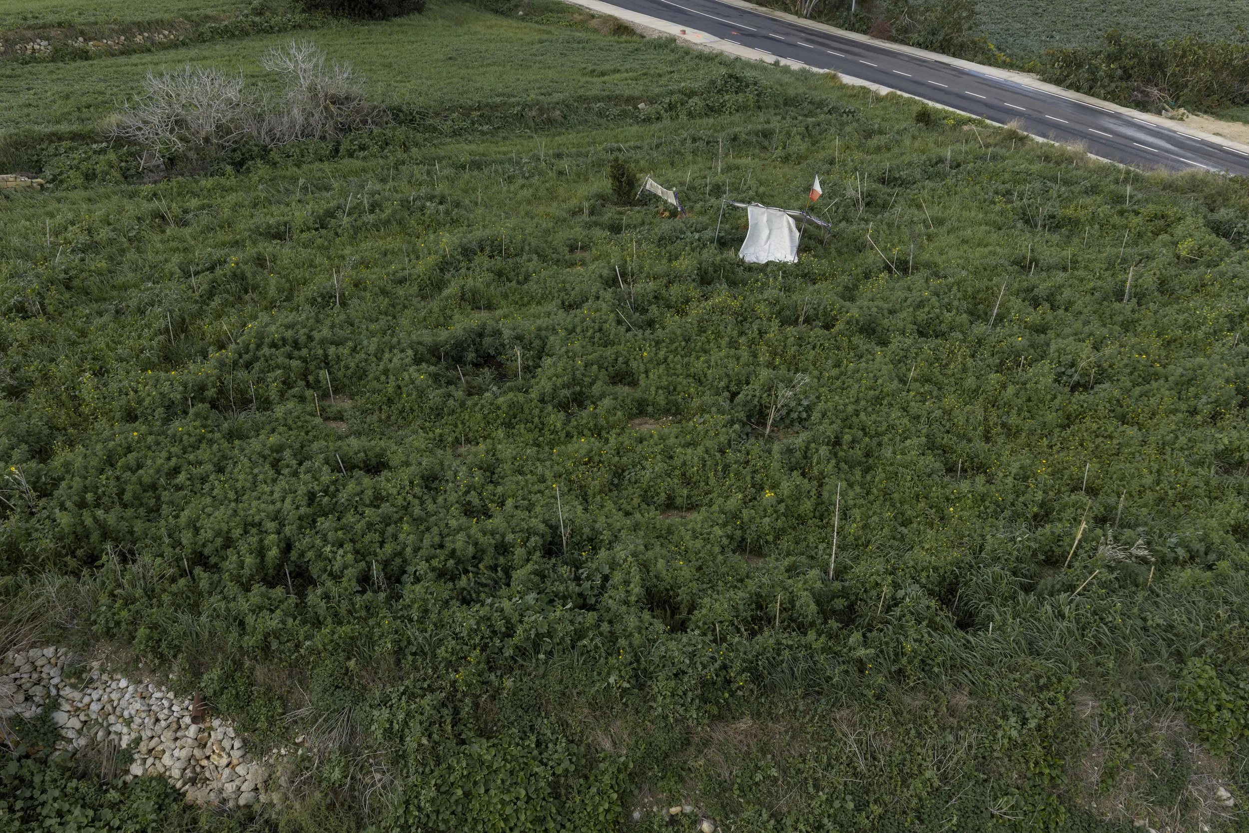 IN PLACE_THERESE DEBONO_01.jpg