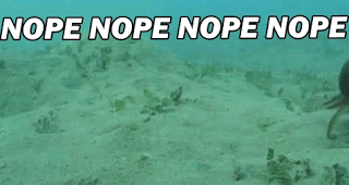 nopenopenope.gif