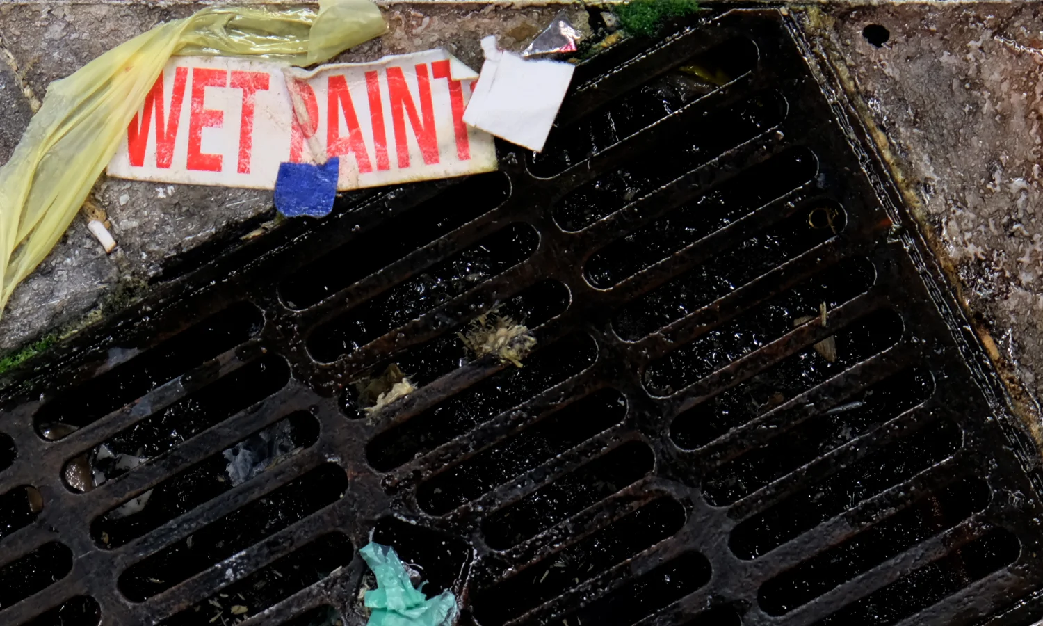 wetpaint-4.jpg