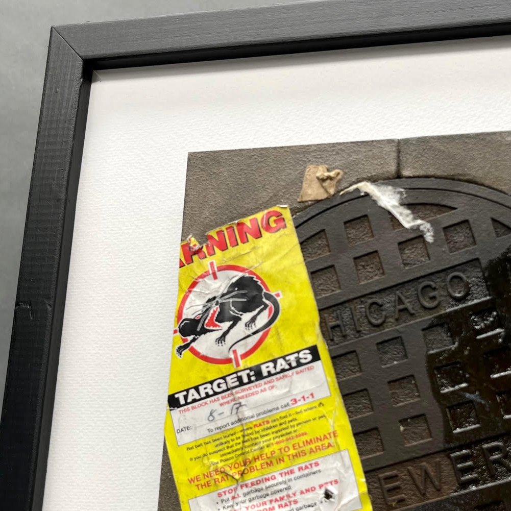 rat-1-close-3.jpg