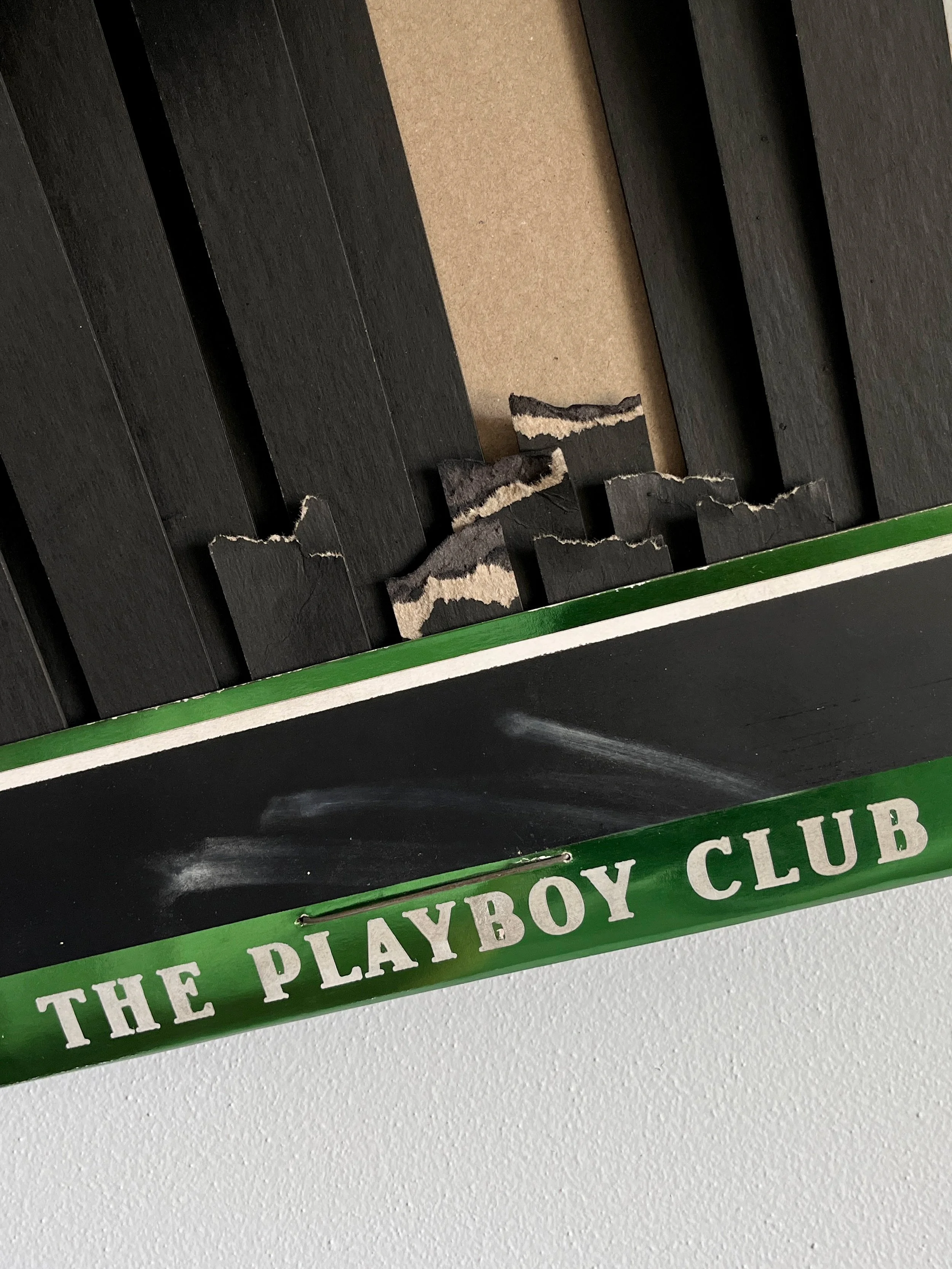 playboygreen-2.jpg