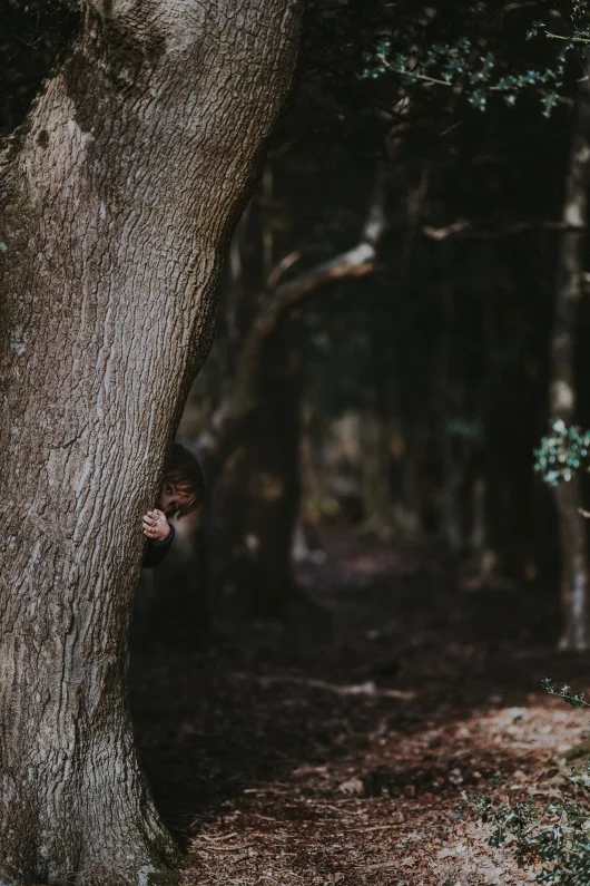 Photo by Annie Spratt on Unsplash