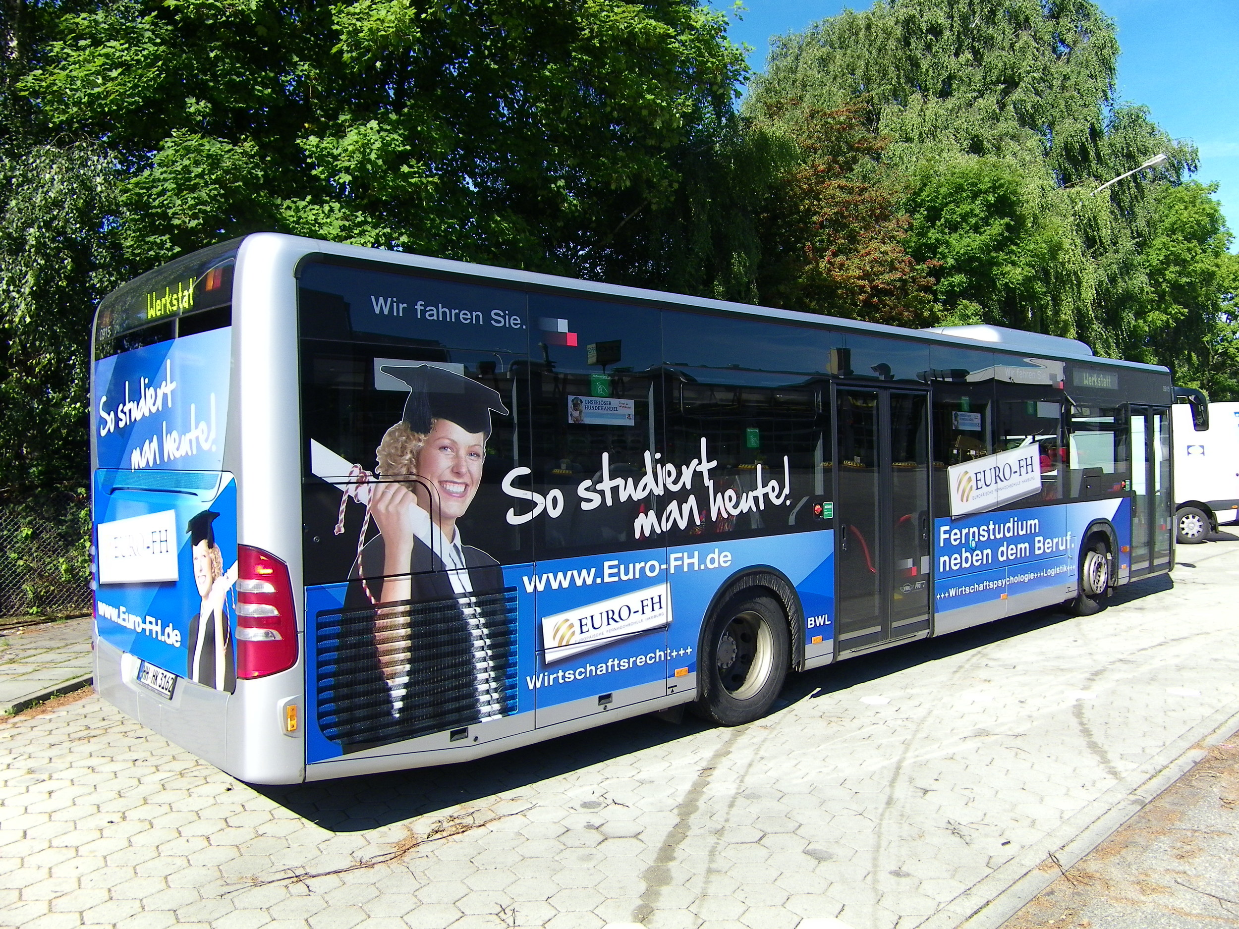 1032_b5d97.jpg