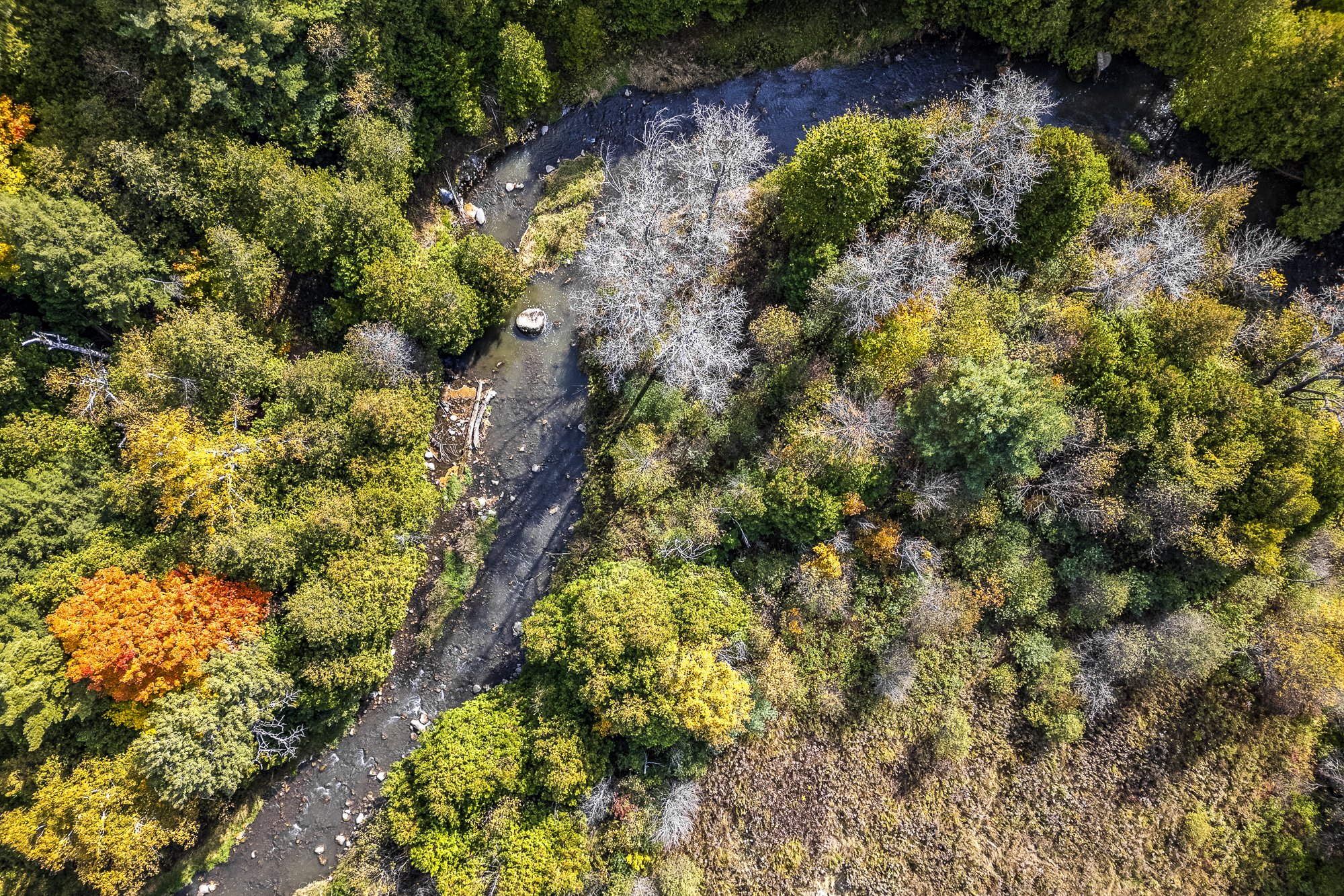 78.  399 Dawson's Sideroad.JPG