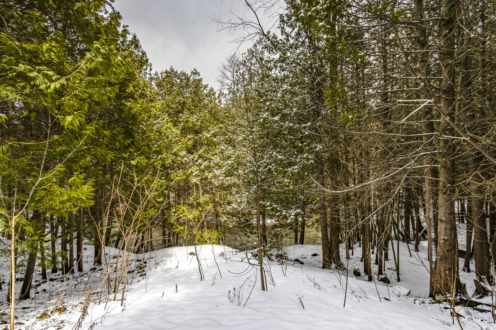 79.  399 Dawson's Sideroad.JPG