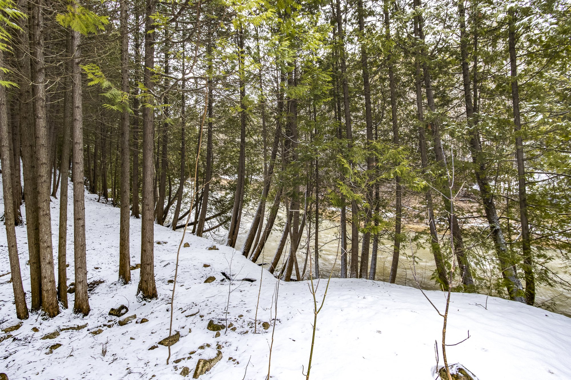 80.  399 Dawson's Sideroad.JPG