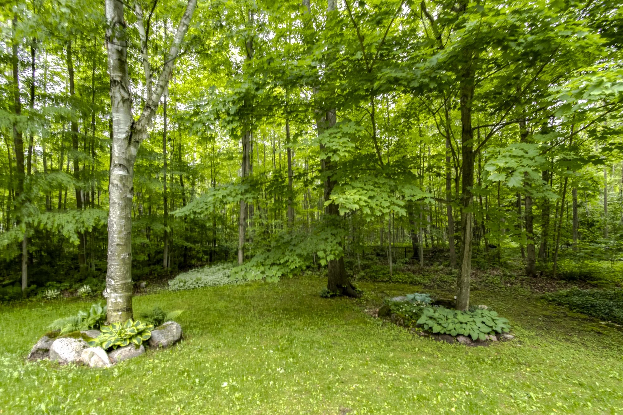 41.  2367 McDonald Rd.JPG