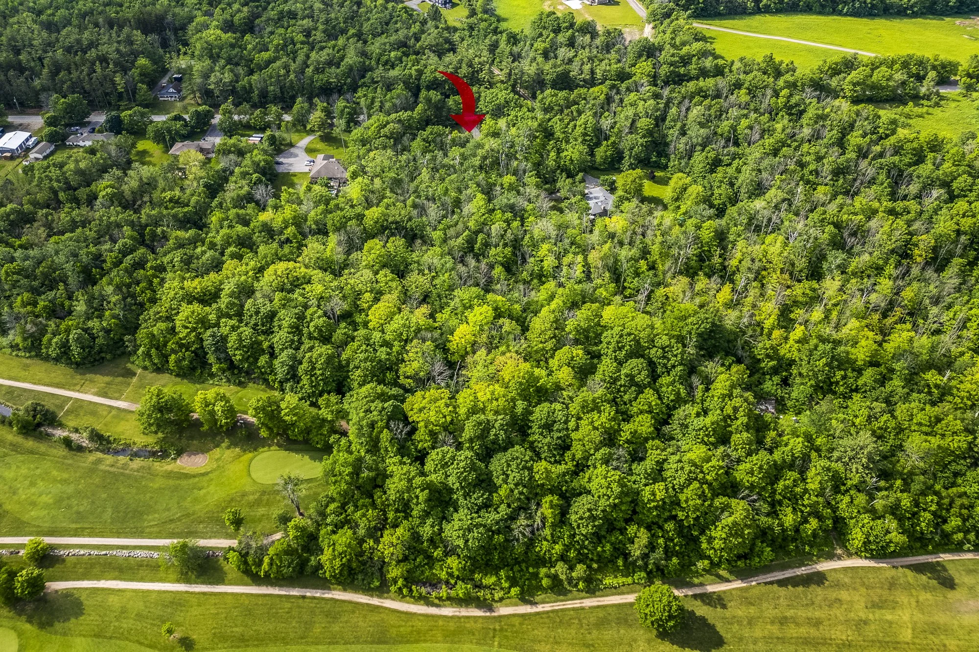 50.  2367 McDonald Rd.JPG