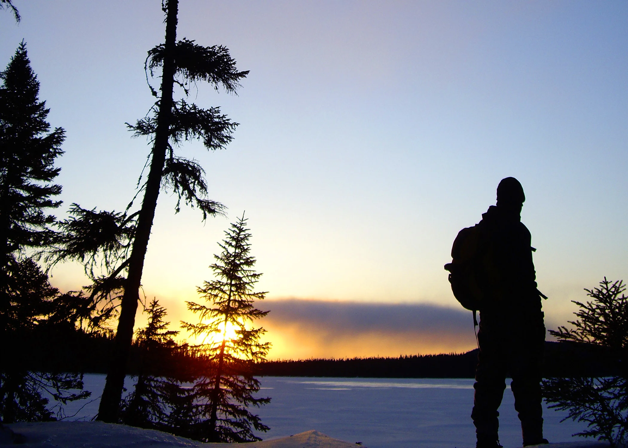 Subarctic2.jpg