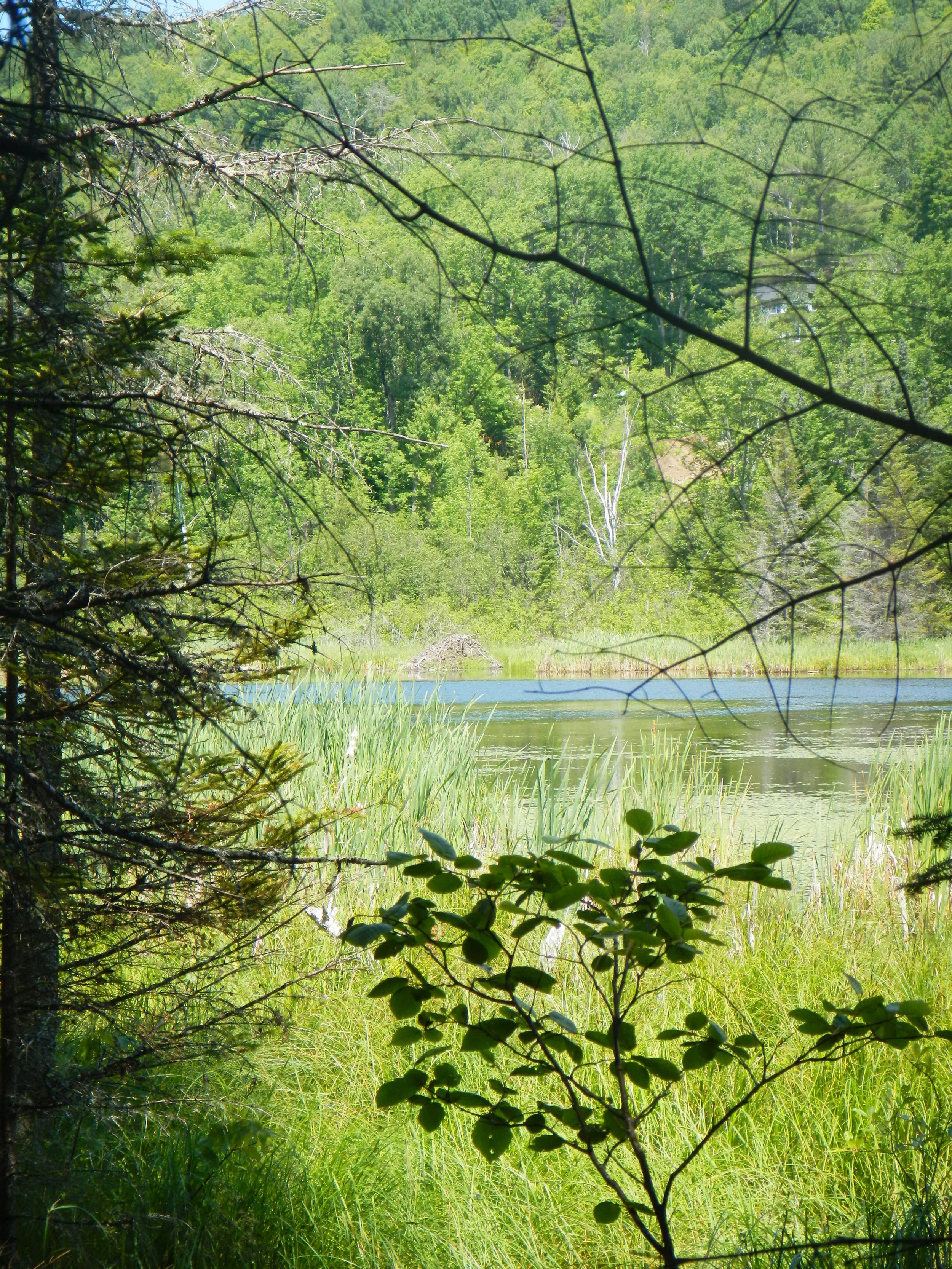 DSCN3518.JPG