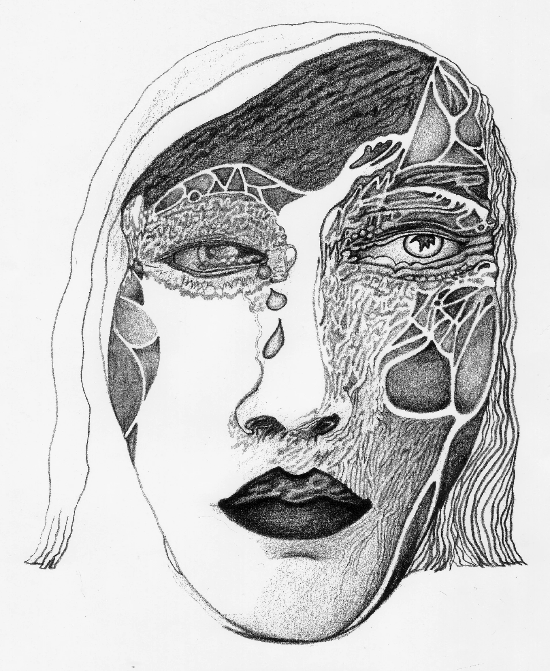 Pencil Drawing