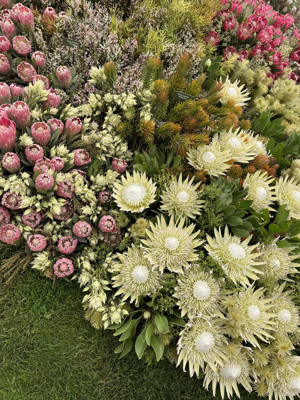 Chelsea RHS Pavillion