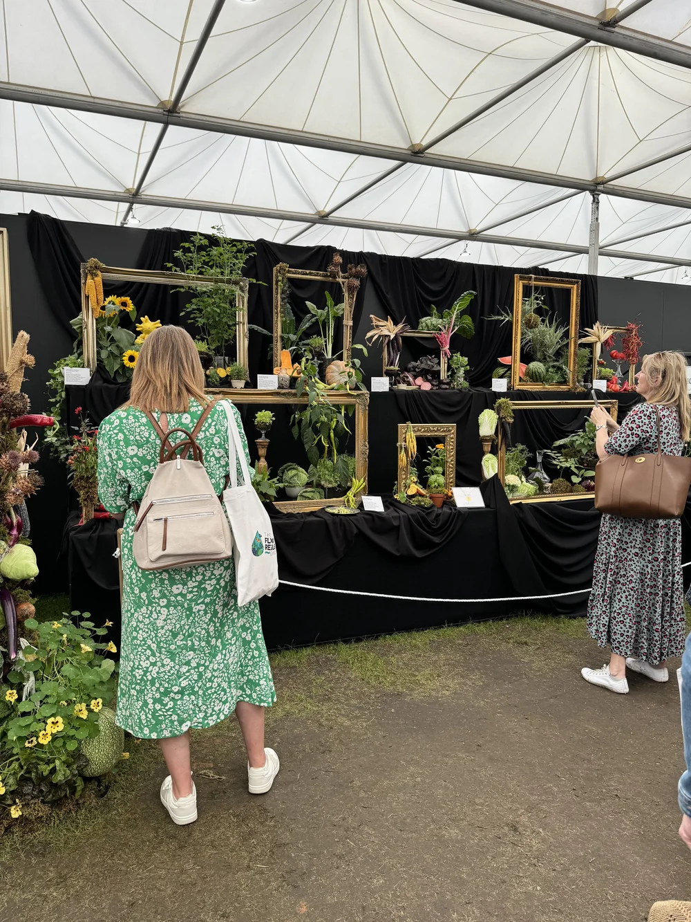 Still Life Veg in frames