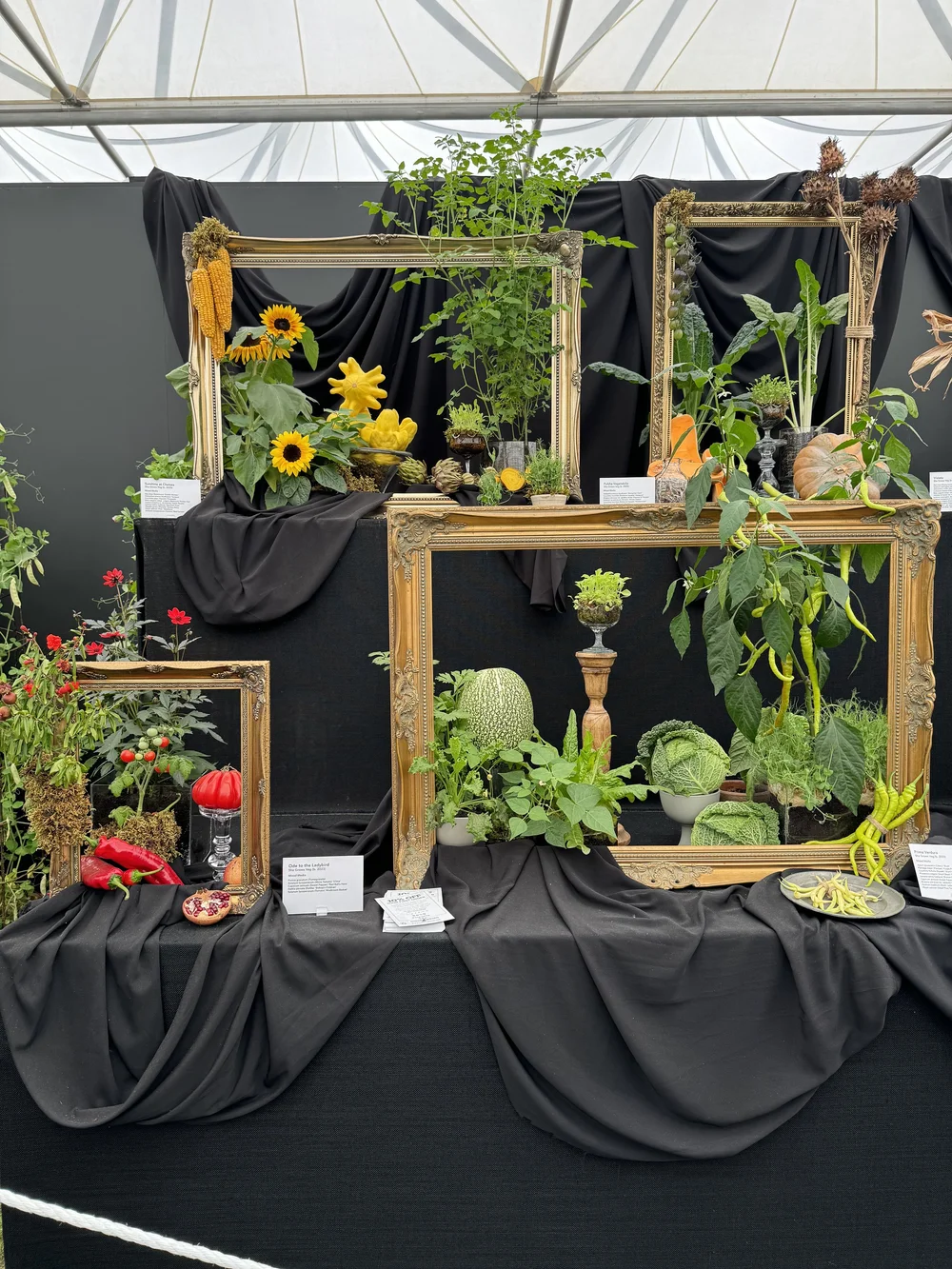  Lucy Hutchings and Kate Cotterill, the founders of She Grows Veg. Chelsea Flower Show 2024 