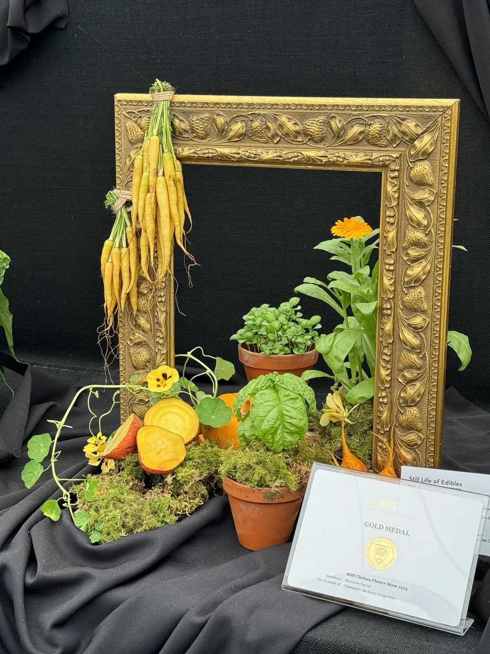 Yellow veg in a frame