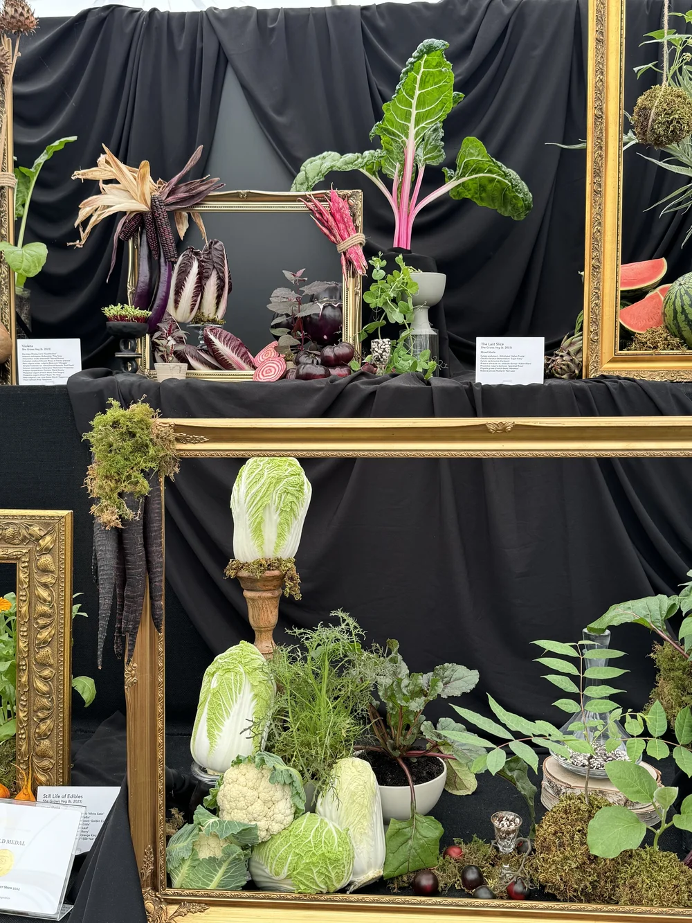 inspired by Renaissance