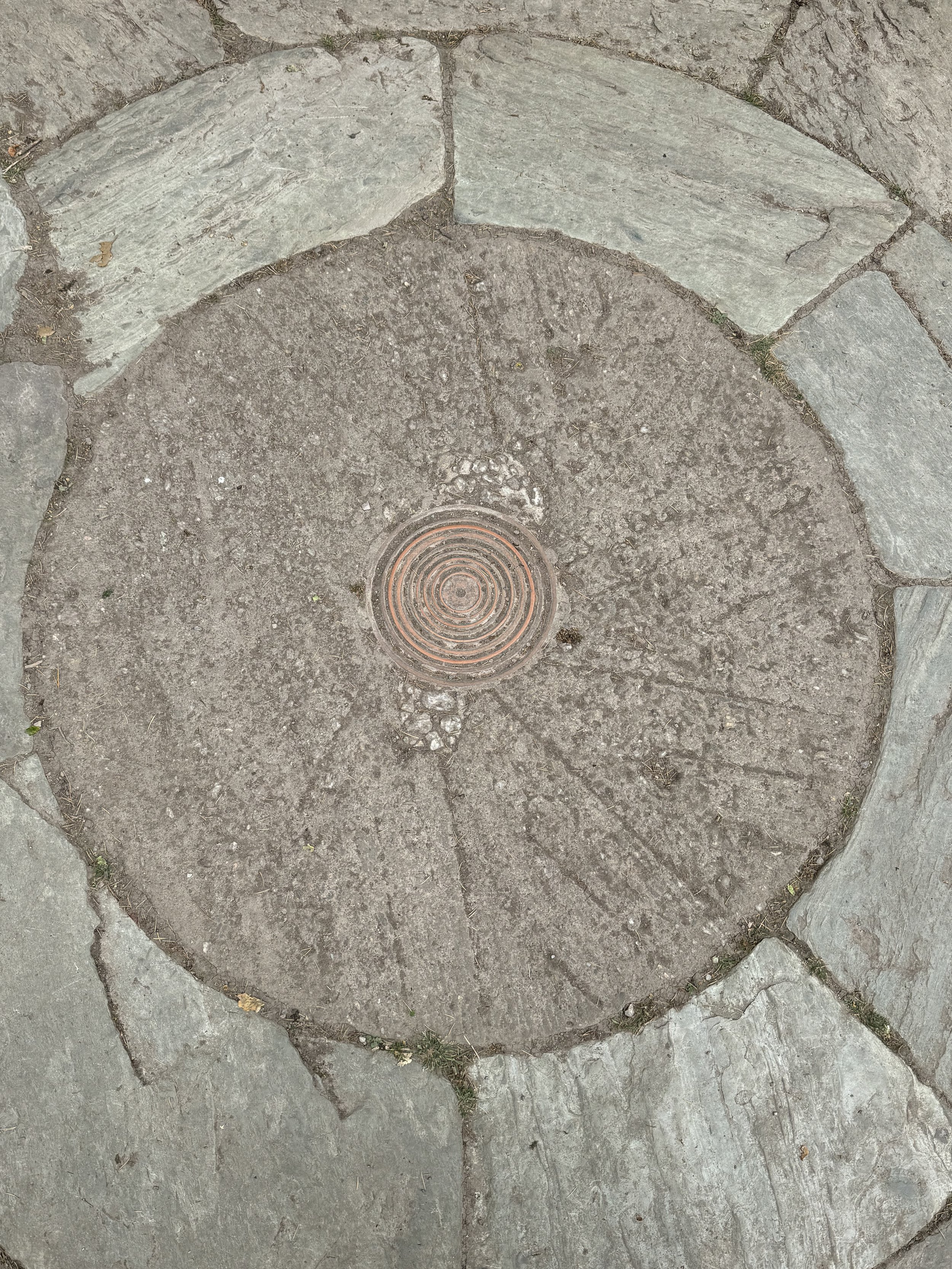 IMG_7688.jpeg