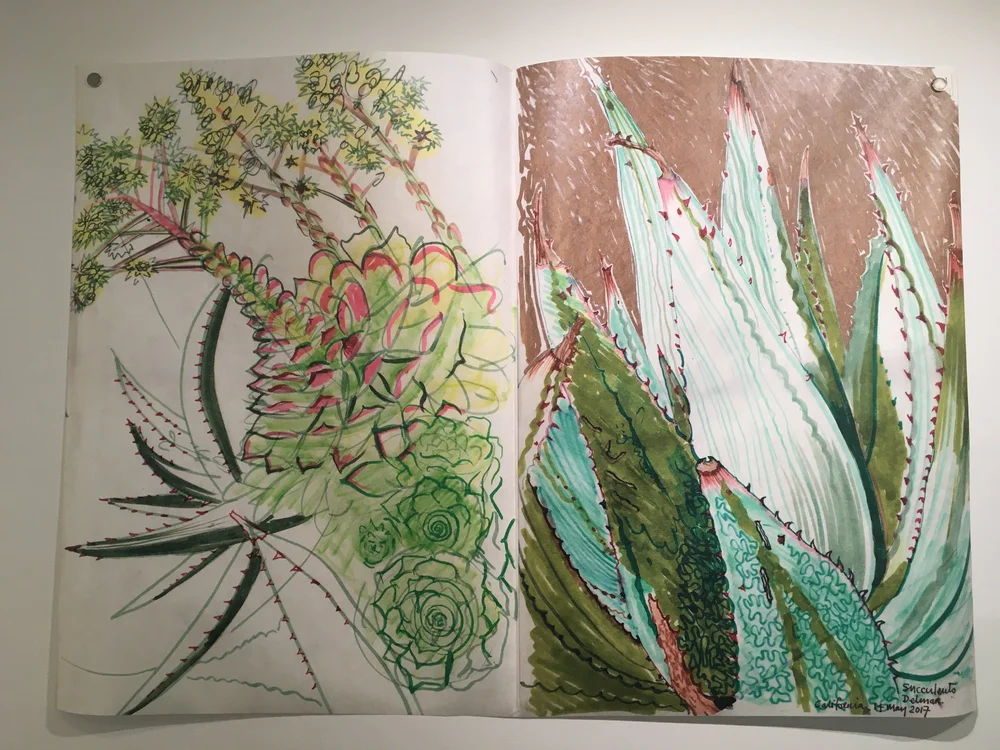 A sketch a day | photo 3