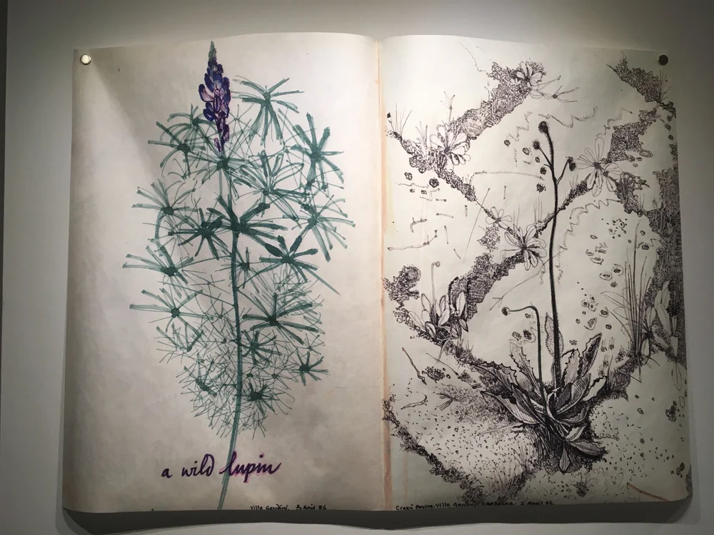 A sketch a day | photo 10