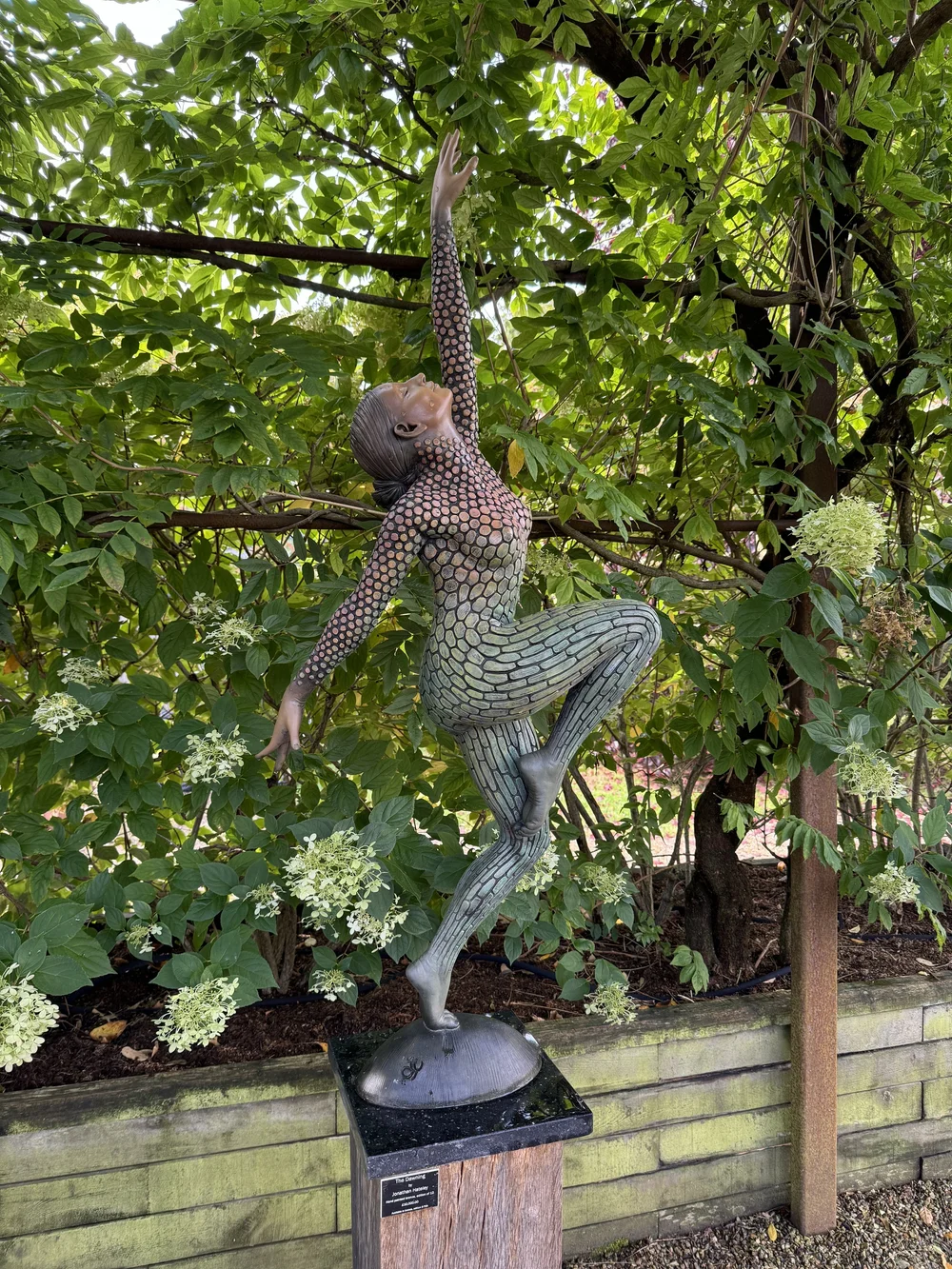 THE DAWNING by Jonathan  Hateley