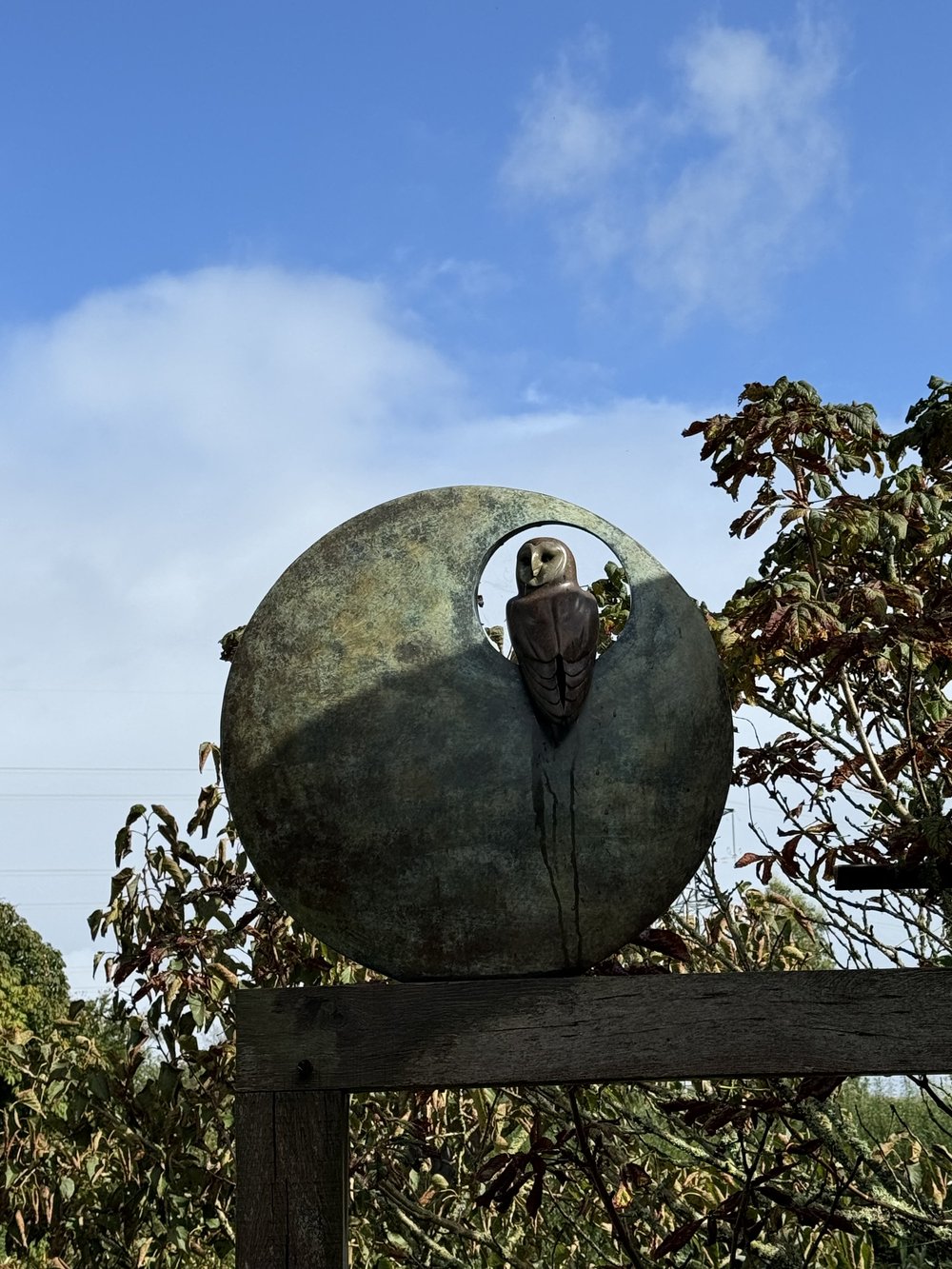 BARN OWL by Simon Gudgeon