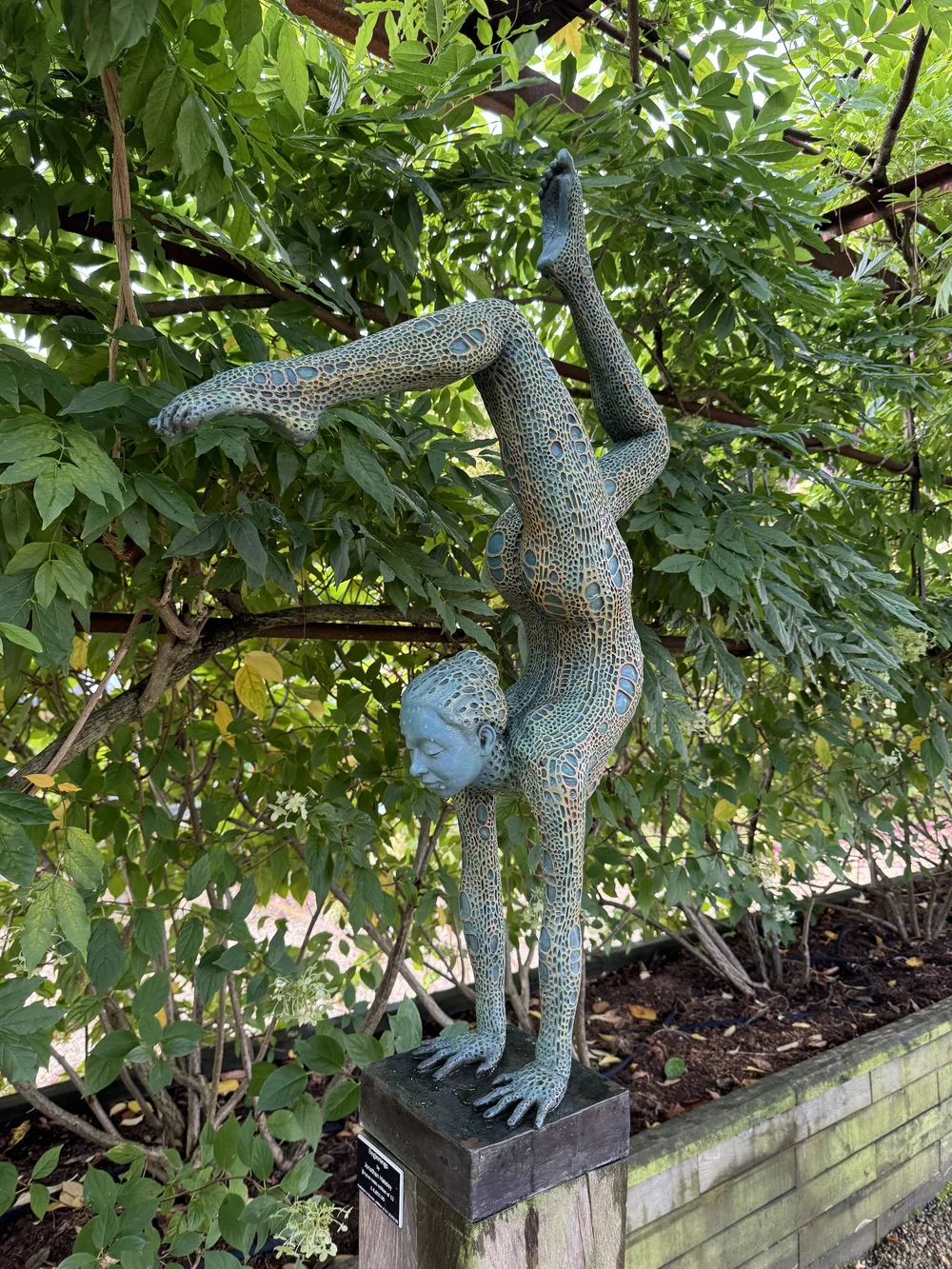 BEGINNINGS  by Jonathan Hateley