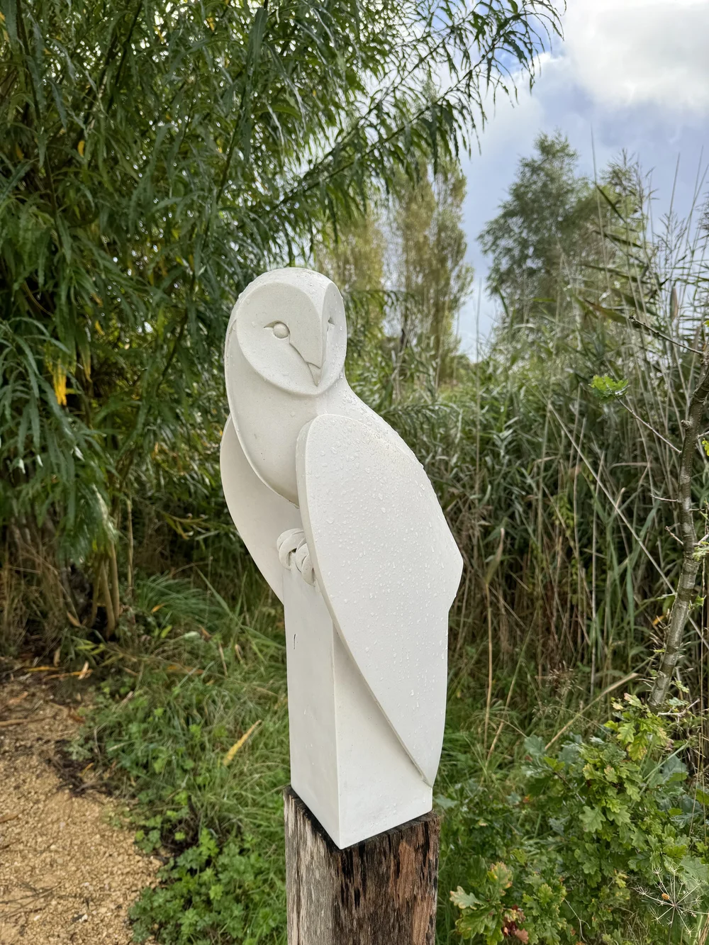 BARN OWL LANDED by Paul Harvey
