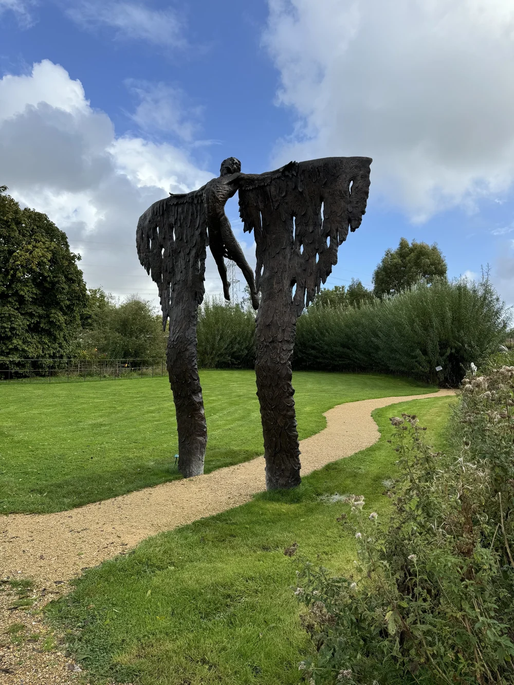 ICARUS RISING by Nicola Godden