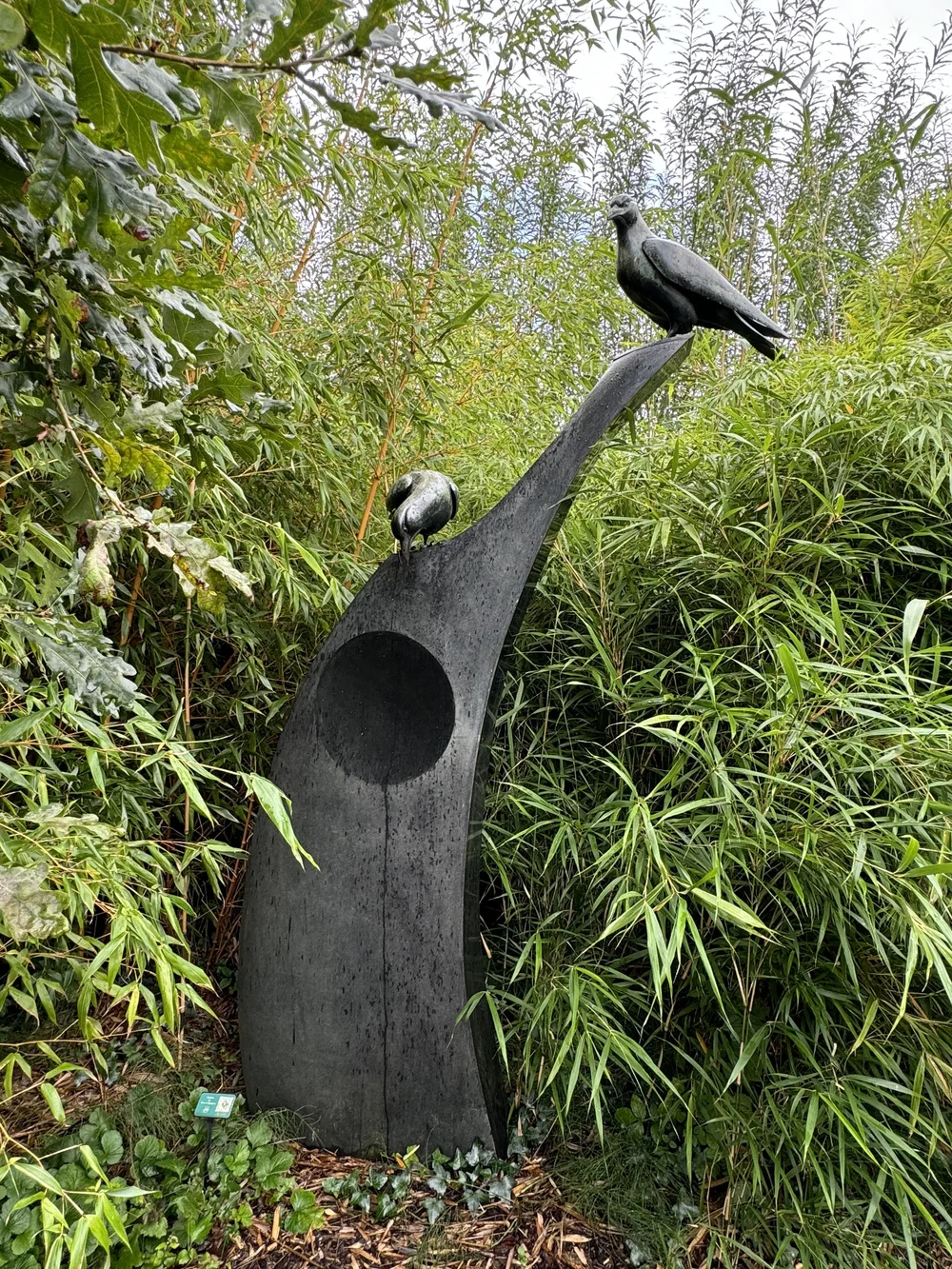 RAVENS by Simon Gudgeon