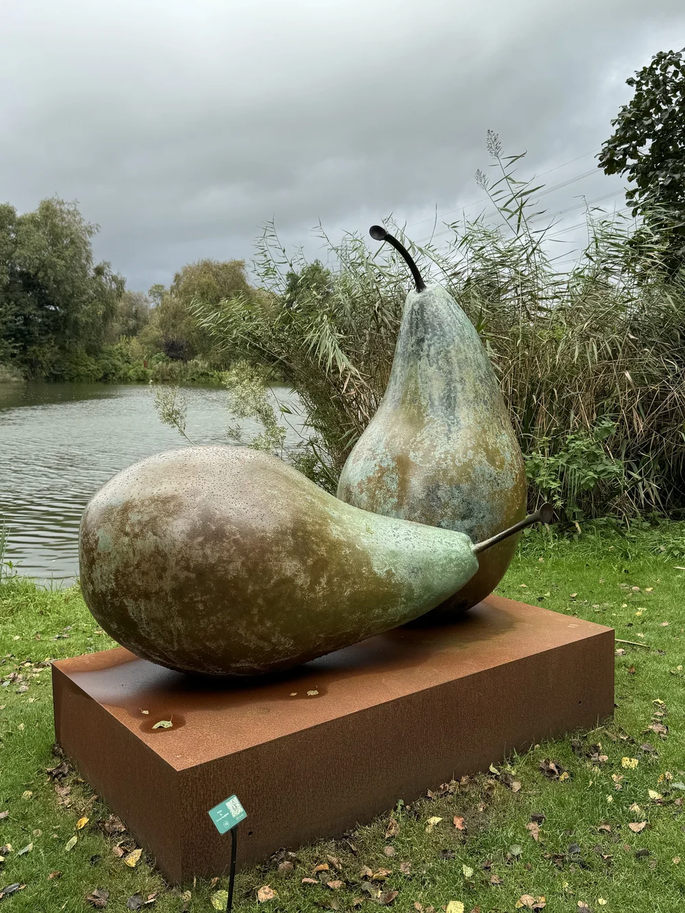 Pears by Nicola Dunkinson