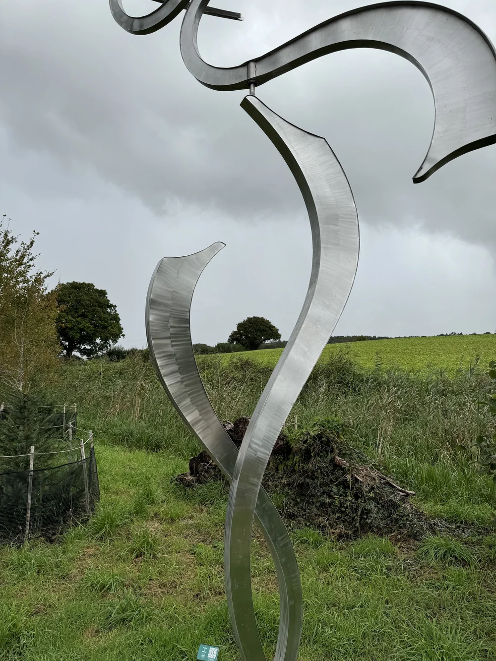 FLUIDITY by Will Carr