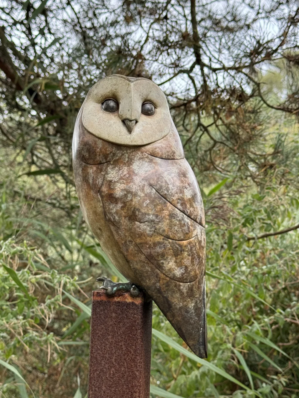 BARN OWL by Adam Binder