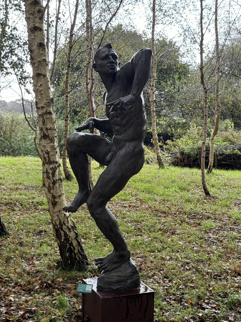 ICARUS FREESTYLES by Lucianne Lassalle