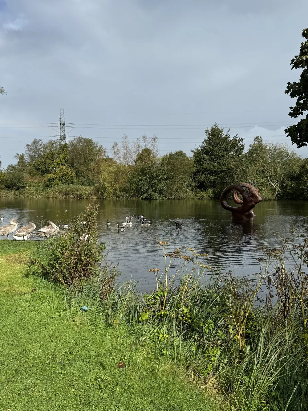 SEARCH FOR ENLIGHTENMENT by Simon Gudgeon