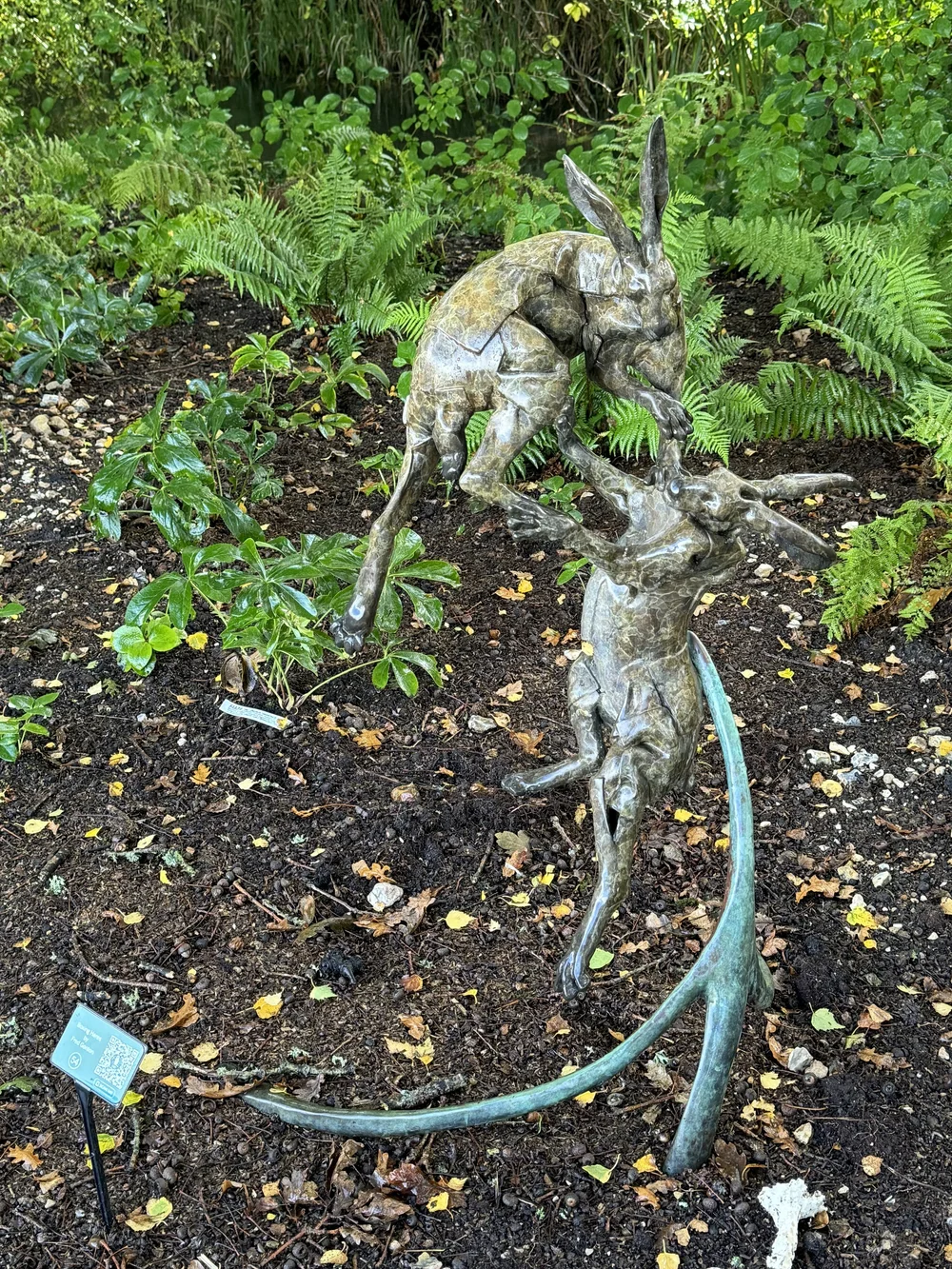 BOXING HARES by Fred Gordon