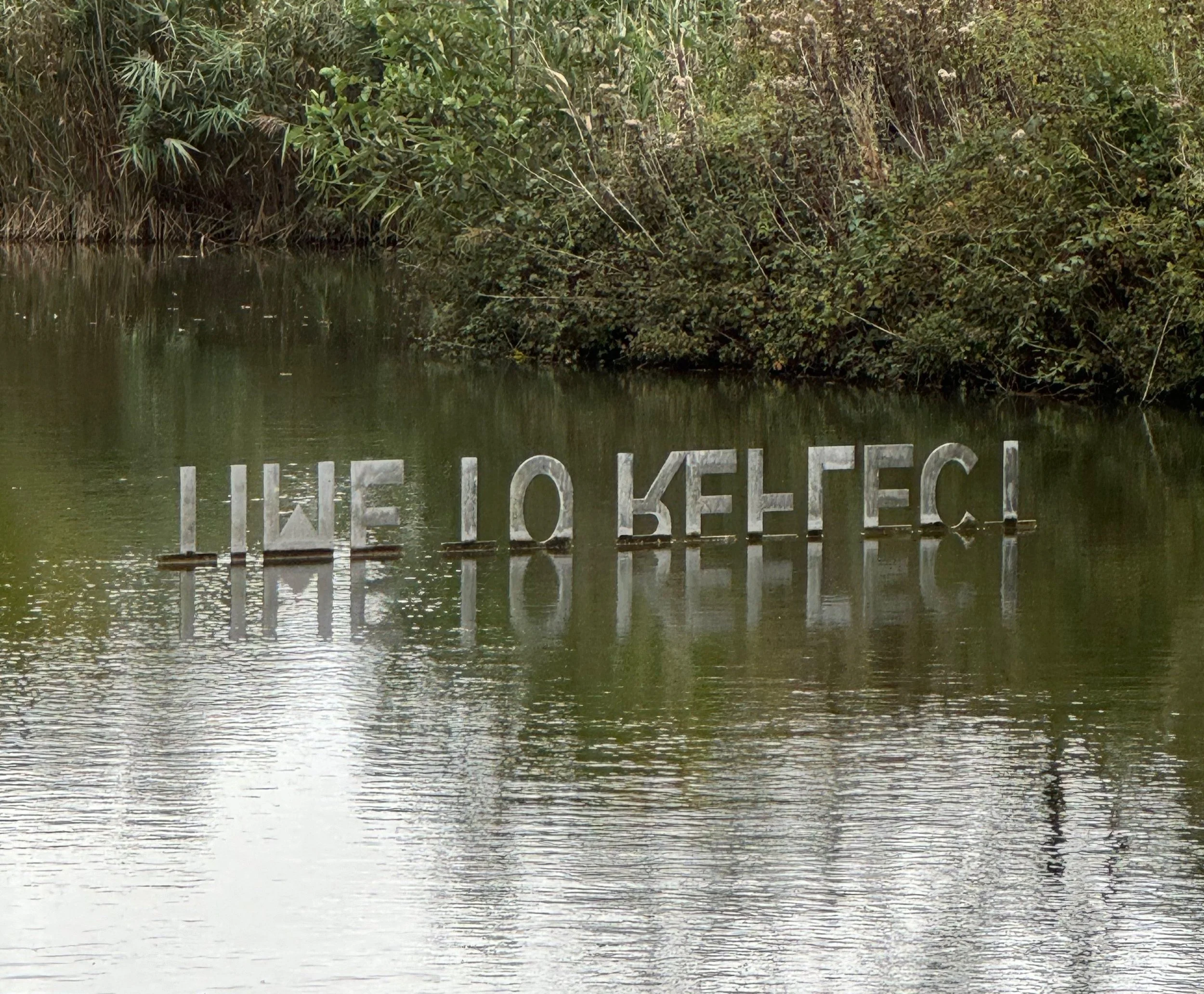 Sculpture by the Lakes