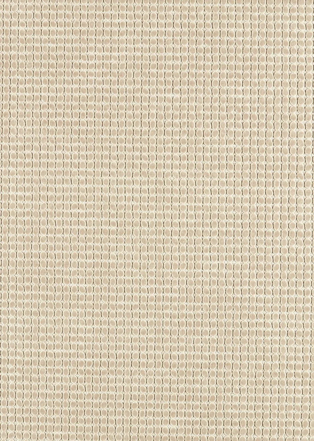 LOOPY SPOT OATMEAL  