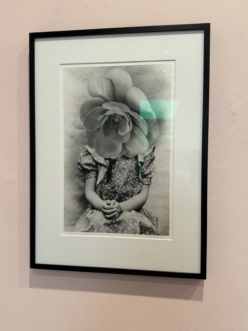 Mari Mahr Presents for Susanna - 2 , 1985