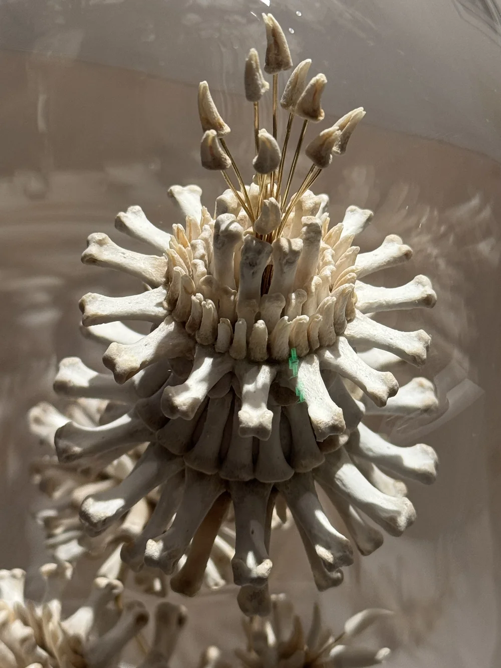 Emma Witter. Soft Fascination, 2024