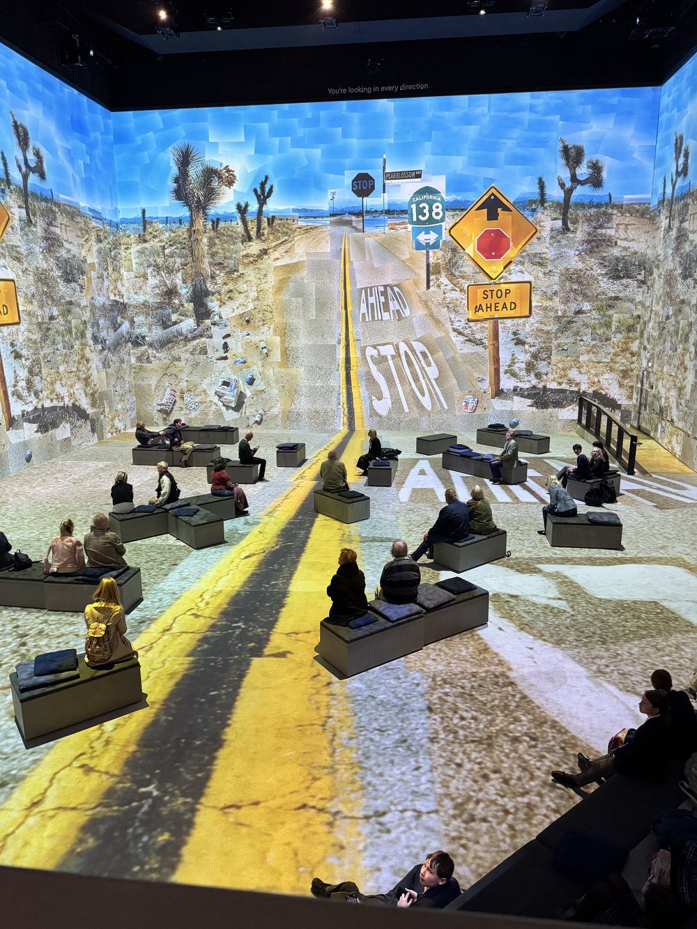 David Hockney at the Lightroom