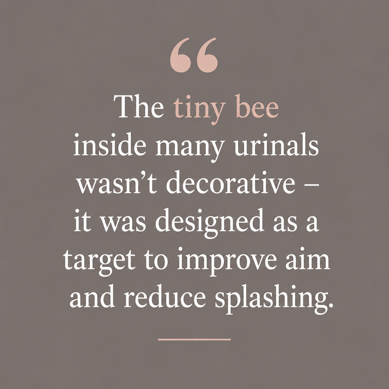 Quote: The tiny bee inside many urinals wasn't decorative, it was designed as a target to improve aim and reduce splashing