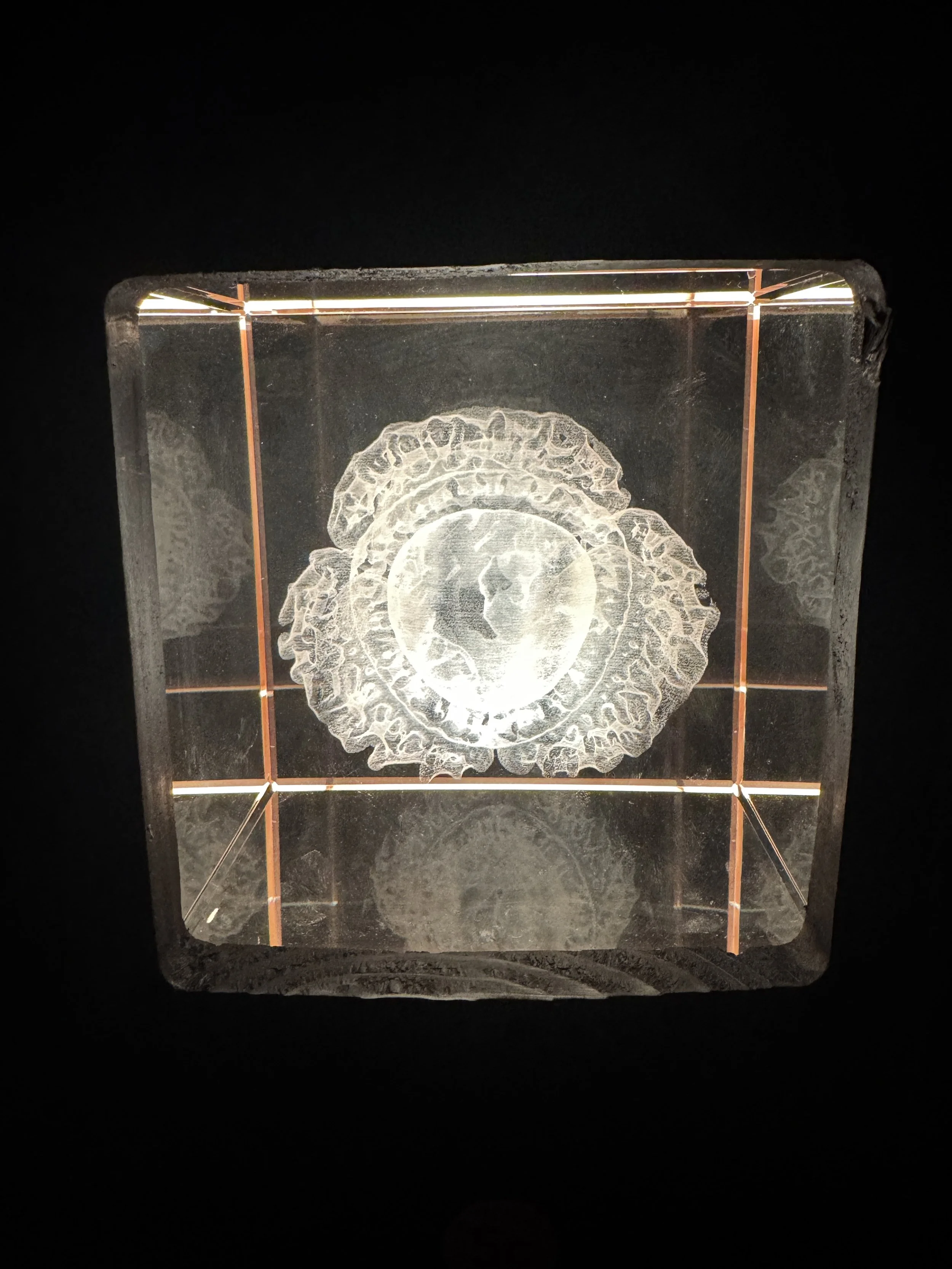 Enlarged pollen grain sculpture lit inside a glass cube, Bees: A Story of Survival