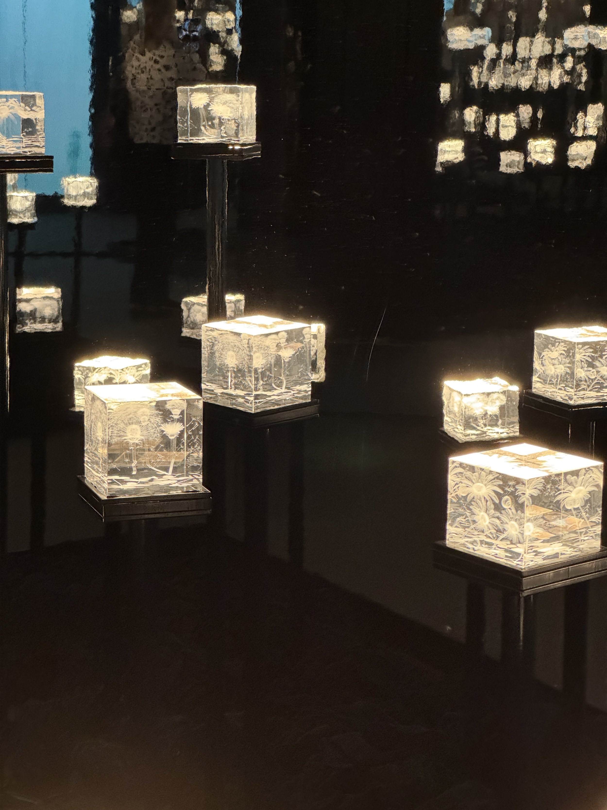 Rows of illuminated pollen cubes in a dark gallery, Bees exhibition in Liverpool