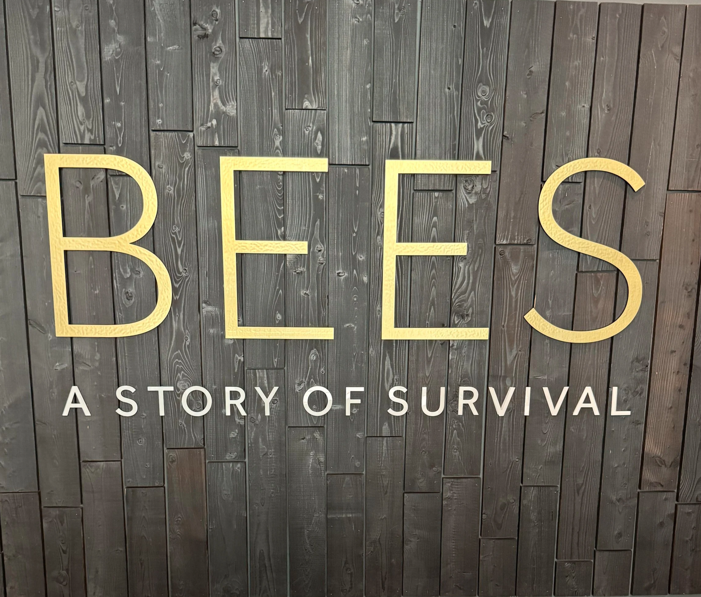 Bees: A Story of Survival exhibition sign in gold lettering on dark timber, Liverpool