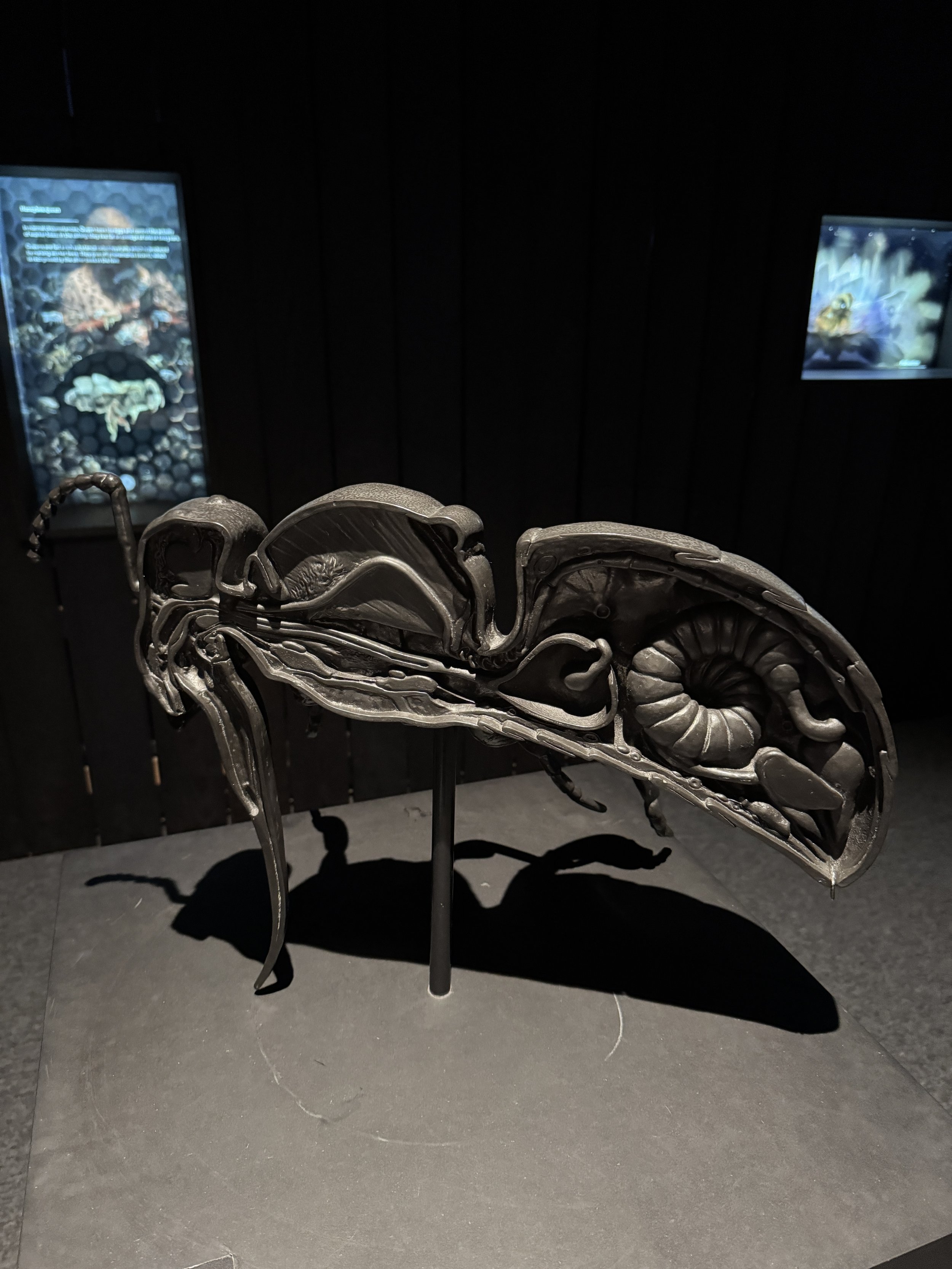 Large sculpted bee in a darkened gallery, Bees: A Story of Survival exhibition