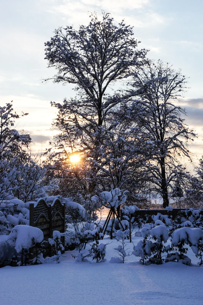 still-24.jpg