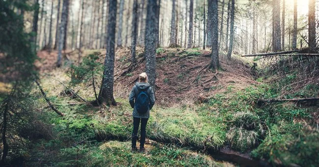 Photo: iStock/ Borut Trdina